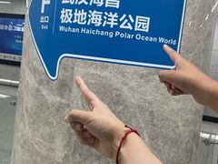 -海合安武汉极地海洋公园