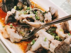 古法蒸石斑鱼-金时代顺风大酒店(爱琴海购物中心店)