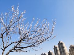 -前关湿地公园