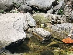 -西安祥峪森林公园