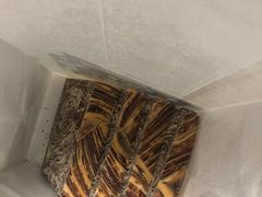-爸爸糖手工吐司(苏州环球188店)
