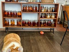 -肥朵食堂(带梦胡同店)