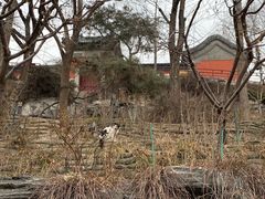 -郭守敬纪念馆