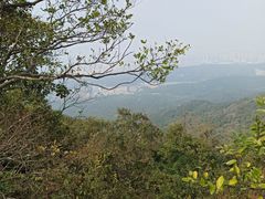 -紫金山山顶公园