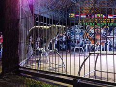 -清迈夜间动物园