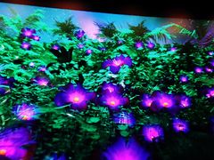 -百美汇影城(LUXE嘉里中心店)