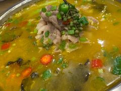 酸汤肥牛-正阳春烤鸭店(杨楼店)