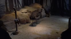 -酷嗒动物文化乐园(cutezoo西溪乐天城店)