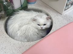 -美联众合动物医院·24h京西诊疗中心