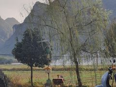 -村上春树