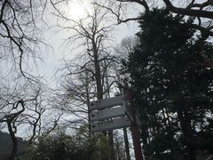 -青岛崂山太清宫