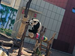 -秦皇岛野生动物园