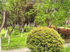 -西安汉城湖景区