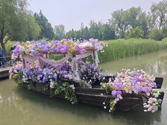 -溱湖国家湿地公园