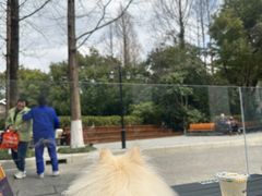 -J Create城市露营咖啡·简餐·宠物(上海动物园店)