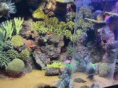 -上海海洋水族馆