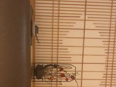 -厦门源昌凯宾斯基大酒店-隠れ鉄板焼