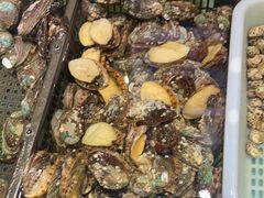 -宝燕壹号(徐汇店)