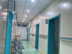 -北京观赏动物医院·24小时大型综合·猫专科·异宠专科