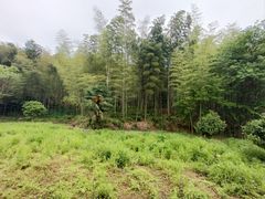 -兰亭风景区