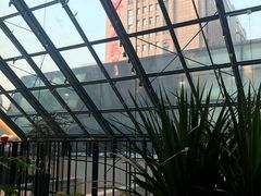 -大树餐厅(红旗街万达店)