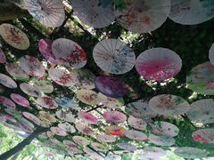 -呀诺达热带雨林
