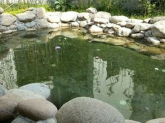 android_upload_pic-苏州香山国际大酒店