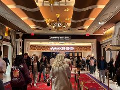 -拉斯维加斯永利酒店