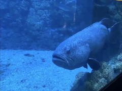 -海合安青岛极地海洋公园