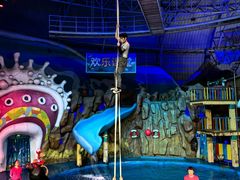 -烟台海昌鲸鲨海洋公园