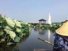 -荷塘月色湿地公园·向阳花洲