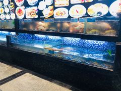 -寻味顺德·珍之宝酒楼(银钻店)
