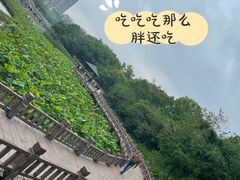 -金山公园