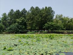 -范蠡湖公园