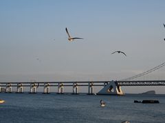 -星海广场