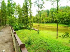 -黄海国家森林公园