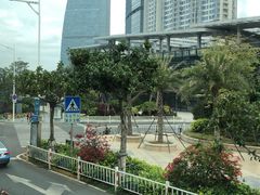 -国际邮轮中心码头(厦鼓码头)