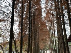 -蜀绣公园