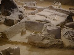 -洛阳周王城天子驾六博物馆