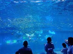 -西安华夏文旅水世界