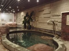 -天目湖涵田半山温泉