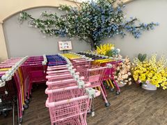 -荷兰花海
