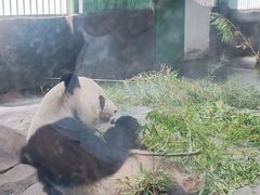 -安吉竹博园