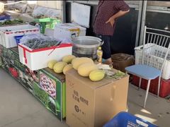 -菊园百果园