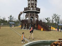 -上海长兴岛郊野公园