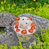 成都本土特色奶茶 真的绝绝子❗