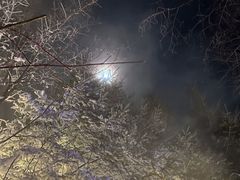 -汉拿山温泉度假酒店