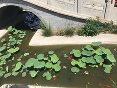 -大悲禅寺
