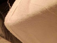 -上海外滩华尔道夫酒店