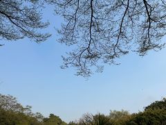 -南海神庙